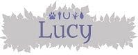 Shapeshifter's Guide to Running Away - Lucy