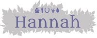 Shapeshifter's Guide to Running Away - Hannah
