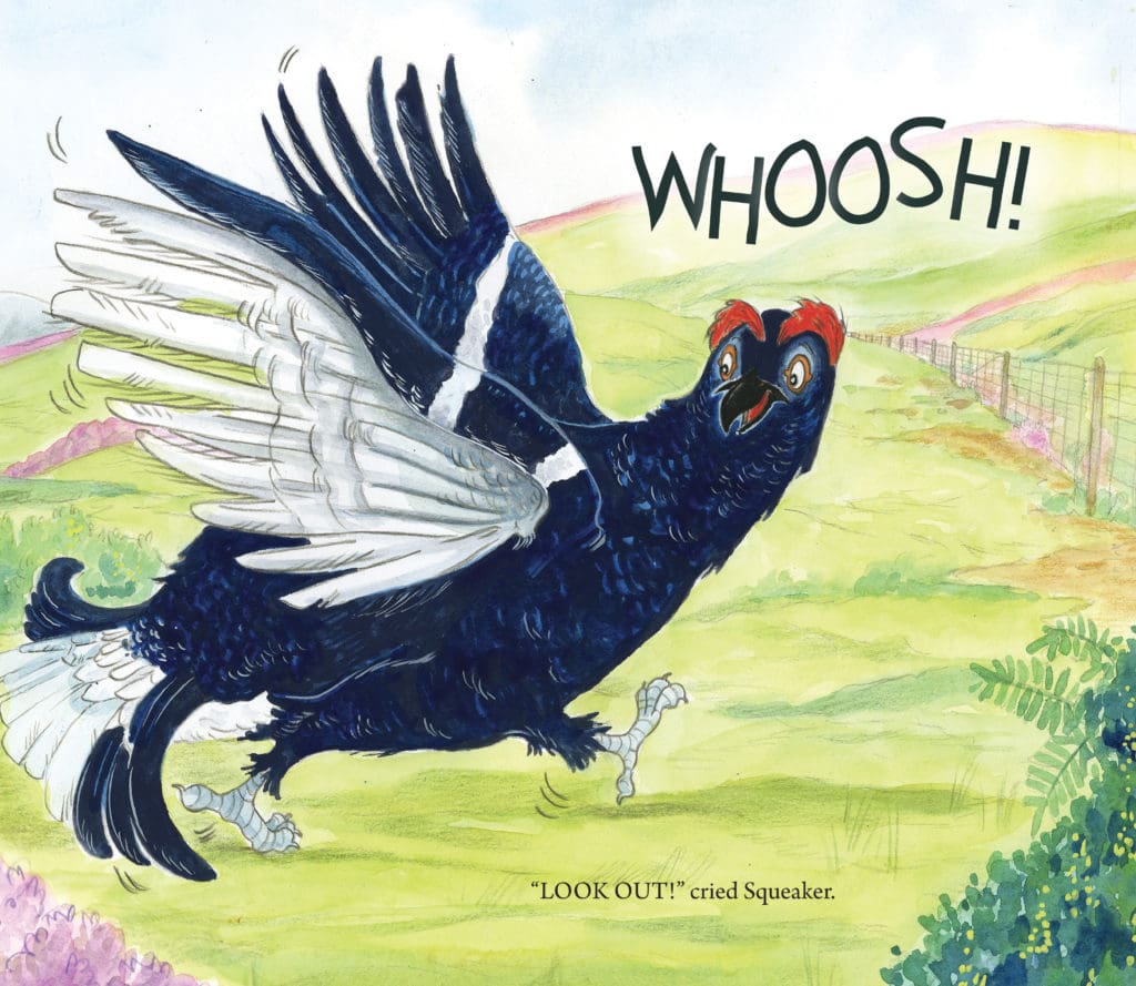 Birdwatching, illustrating nature with Kirsteen Harris-Jones