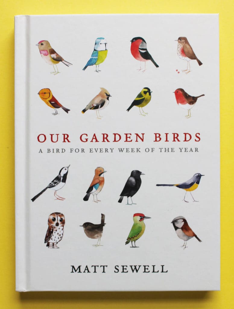 Birdwatching, illustrating nature with Kirsteen Harris-Jones