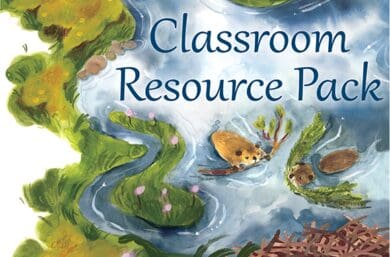 Classroom Resource Pack - watercolour illustration of two beavers building a dam by Phoebe Roze
